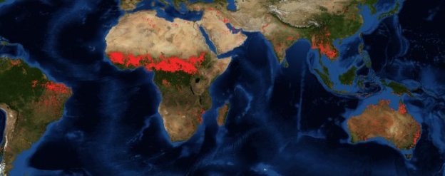 Screenshot_2019-12-22 FIRMS